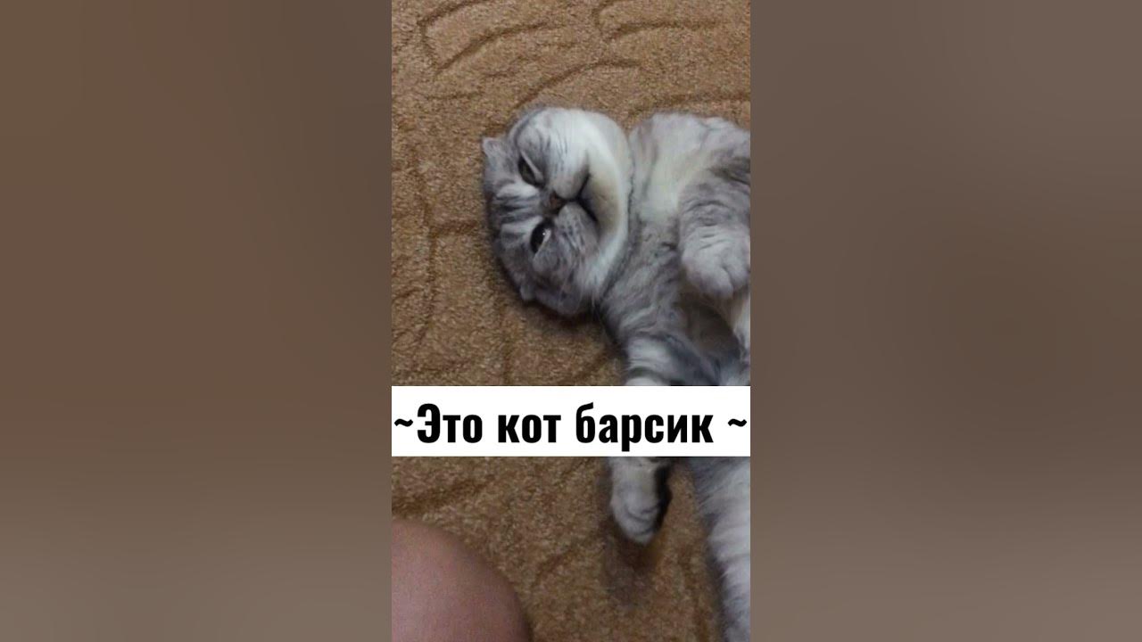 Как выглядит кот барсик Basik&Co (Basik) Ks19-125 Басик в сером комбинезоне и маске для сна игрушки по о