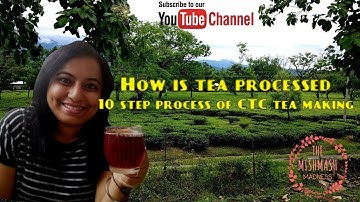 10 step process of CTC tea making - how tea is processed ?