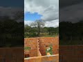 TEMPO,o tempo tá fechando aqui na roça #viral #viralvideo #sertão #toada #nordeste