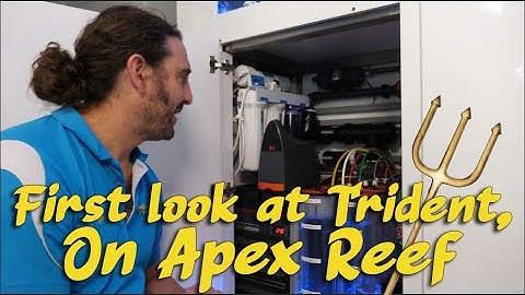First look at Trident, on Apex Reef