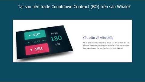 Hướng dẫn cài đặt và sử dụng countdown trên whale mt4