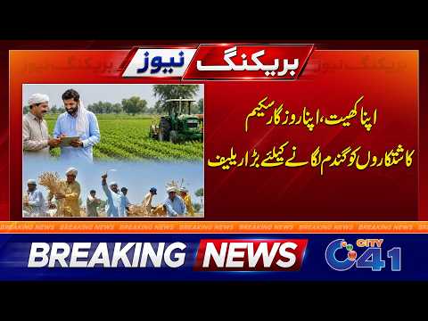 Big Relief for Farmers Ahead of Wheat Cultivation Season | Breaking News | City 41