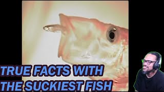REACTION: TRUE FACTS - FISH THAT SUCK