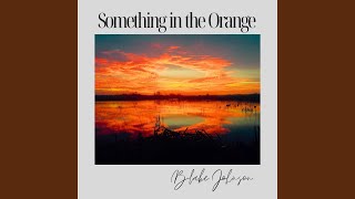 Something In The Orange