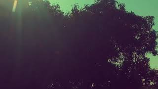 Midnite - Humanity Cry
