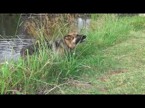 აი ასე დაუჯერეთ ინტერნეტში რასაც ნახავთ :) და კარგს მიახწევთ