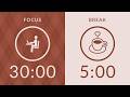 30/5 Pomodoro Timer with Brown Noise 🤎 Study with Me for Deep Focus &amp; ADHD ✨