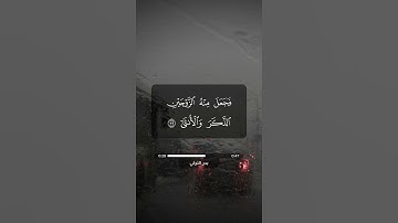 سورة القيامة | آية 36 - 40 | بدر التركي