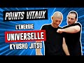 Lnergie universelle et les points vitaux kyusho jitsu