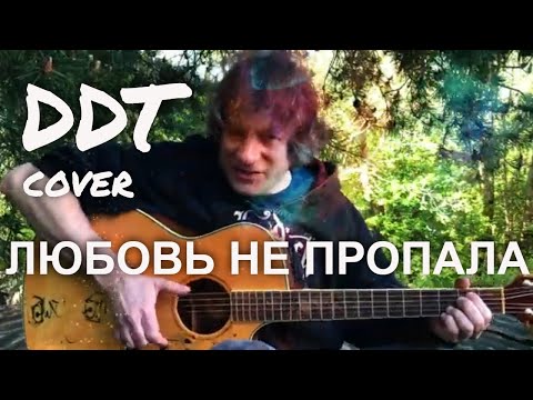 Антон Мизонов - Любовь не пропала (DDT acoustic cover)