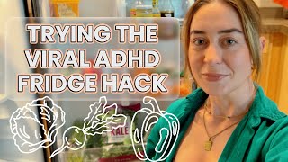 Can this ADHD fridge organization TikTok hack help with object impermanence & reducing food waste?