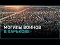 Шокирующие размеры военного кладбища в Харькове