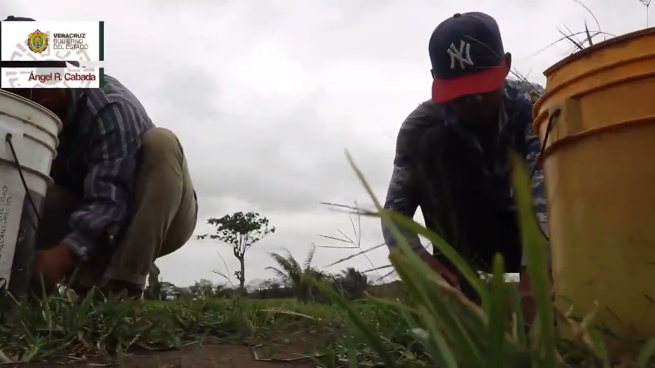 Orgullo Veracruzano desde Angel R. Cabada