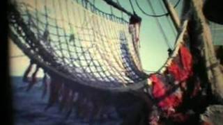 Download Lagu ARM15 \ MP3