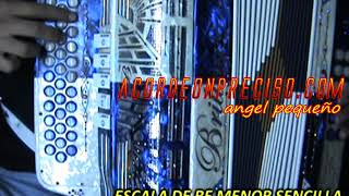 escala de  re menor sencilla  acordeon de sol