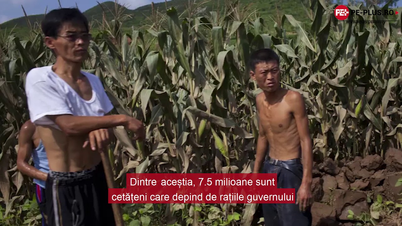 Rația de mâncare în Coreea de Nord a ajuns la un minim istoric I Pe-plus.ro
