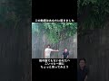 こいつです