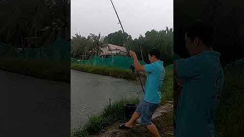 Đam Mê Là Vô Tận Với Cần Thủ #shorts