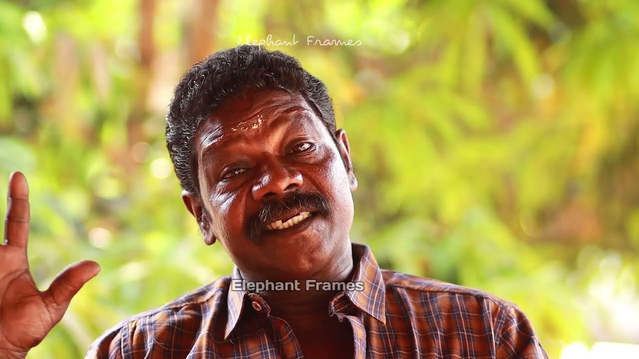 ആമ്പല്ലൂർ ബാലകൃഷ്ണൻ | Kottayi Raju | Elephant Frames |Amballoor Balakrishnan|PART 2