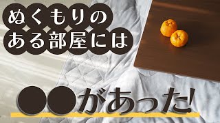 家族の団らんの中心に最適なリビングこたつ！選び方のポイントを一挙紹介します！