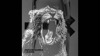Martin Garrix  Poison intro Edit