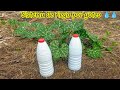 Cómo hacer sistema de riego por goteo , barato,fácil de hacer y rápido  con botellas de plásticos