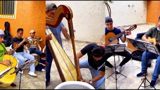 Video thumbnail of "Mariachi México Lindo-El Relámpago viejo (Ensayo)🎻🎶🔥"