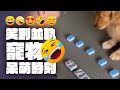 【歡笑大集合】笑到並軌!!! 寵物呆萌時刻一籮筐