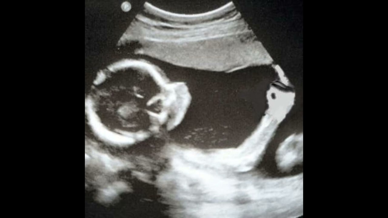 [FREE] Lil Wayne Type Beat 2026 - "Rude Boy" (Prod. DJ John Zion) 87 BPM