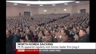 Robert E Kelly, Speaking on BBC, July 16 2012