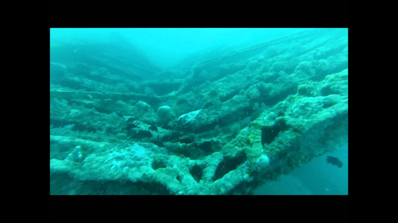 Huge School of Black Drum Offshore Carolina !!!