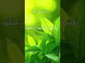 Ayatul kursi Quran tilawat subscribe like sheer #duet viral