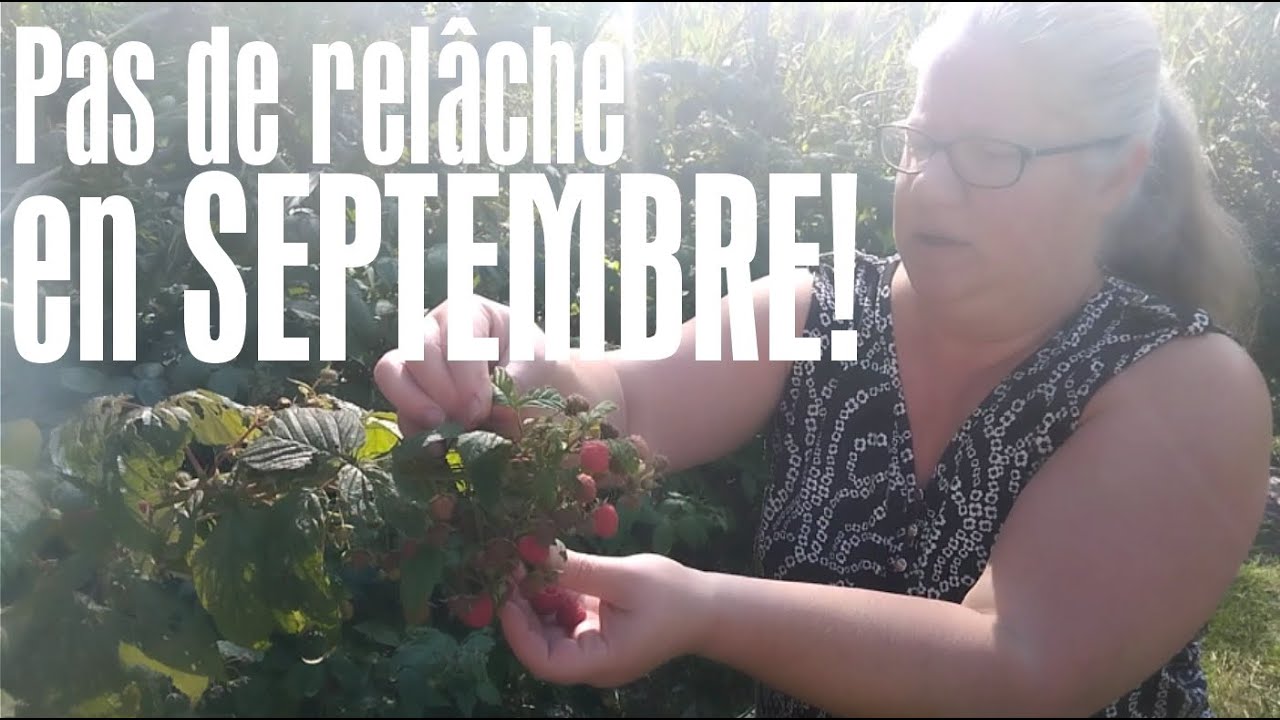 Septembre est encore un mois actif et productif! #Autosuffisance #350