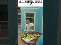 彼女は隕石に直撃された 🤯
