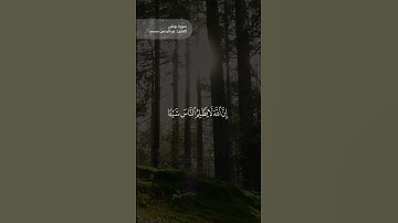 سورة {يونس: ٤٣ - ٤٤} - القارئ عبد الرحمن مسعد