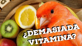 ¿COMO USAR MEJOR LAS VITAMINAS EN NUESTRAS AVES? Consejos en la cría de canarios y otros pájaros.