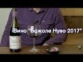 Божоле Нуво (Beaujolais Nouveau) дегустация вина