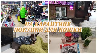 VLOG: На карантине. Покупки для кошки