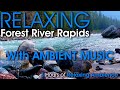 3 Hour Relaxing River Rapids in a Beautiful Forest with Soothing Sounds of Water and Music