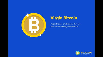 Virgin Bitcoin Explained in 1 Minute
