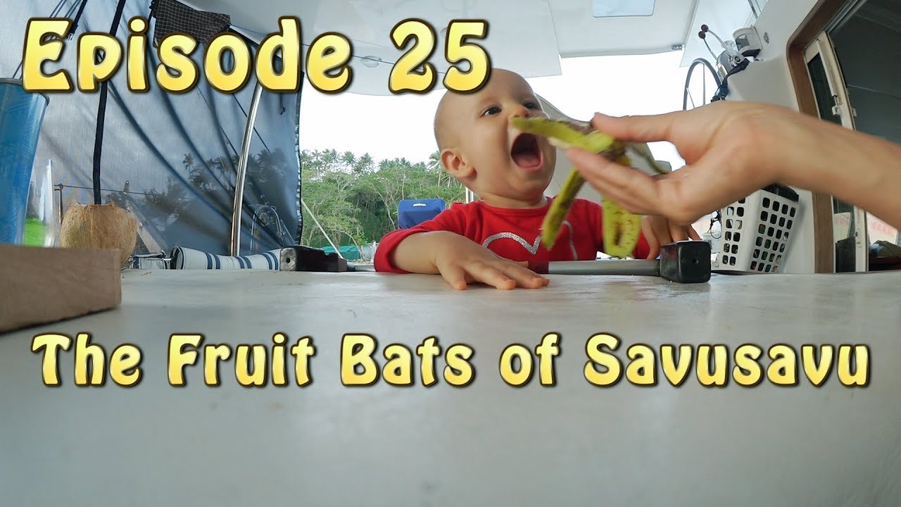 Episode 25 - The Fruit Bats of Savusavu