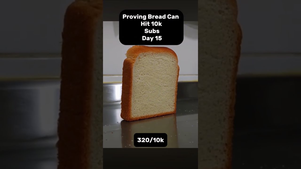 Proving Bread Hit 10k Shorts Challenge