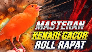 KENARI GACOR PANJANG NEMBAK ROL RAPAT ‼️ Bikin Kenari PAUD BELAJAR BUNYI Cepat Gacor | KICAU MANIA