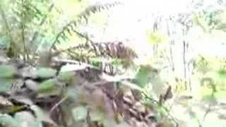 Davut Zafrak Kamera Şakası Www.karasutube.com Tıkla