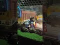 Truck😎💕🍂🚛🦅 #driver#Status# #driver#status#_truck_king #sahab# truck lover #WhatsApp#status#