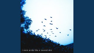i wore pride like a second skin - mittelkin