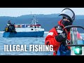 Catching poachers  on patrol with sea shepherd