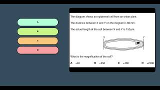 Live quizzes where students compete and learn together
