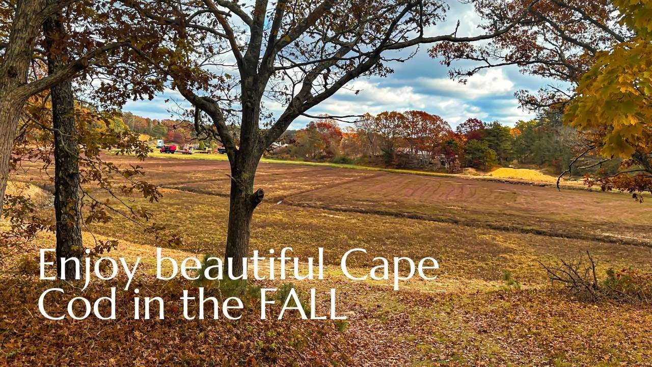 Enjoy the beauty of Cape Cod in the fall