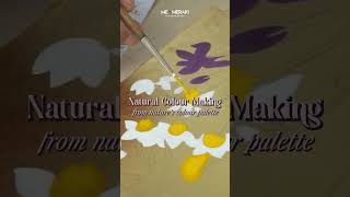Discover the Art of Natural Color Making: Unleash Your Creativity with Organic Pigments!